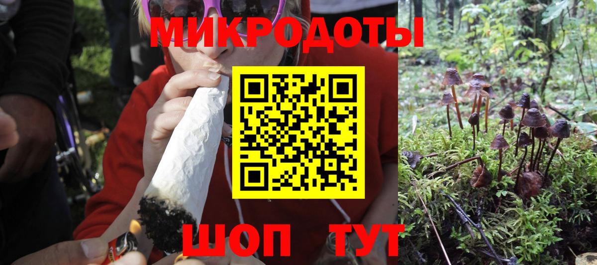 Шелехов  Галлюциногенные грибы GOLDEN TEACHER  Галлюциногенные грибы Psilocybine cubensis  Вход с VPN 
